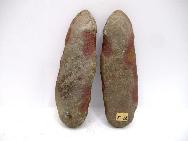 Mazon Creek Pennsylvanian Age Plant Nodule #164 - Image 2