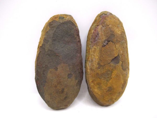 Mazon Creek Pennsylvanian Age Plant Nodule #165 - Image 2
