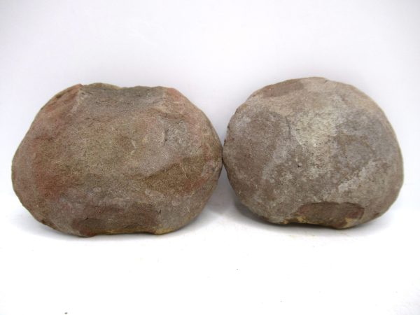 Mazon Creek Pennsylvanian Age Plant Nodule #167 - Image 2