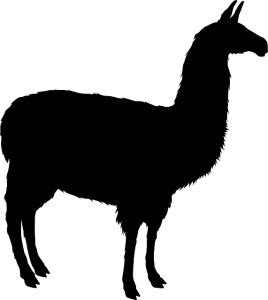Palaeolama