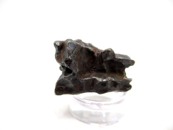 Genuine Sikhote-Alin Iron Meteorite For Sale From Russia #10