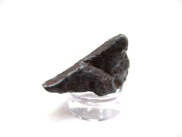 Genuine Sikhote-Alin Iron Meteorite For Sale From Russia #11