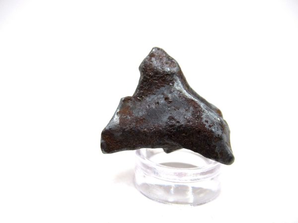 Genuine Sikhote-Alin Iron Meteorite For Sale From Russia #11d