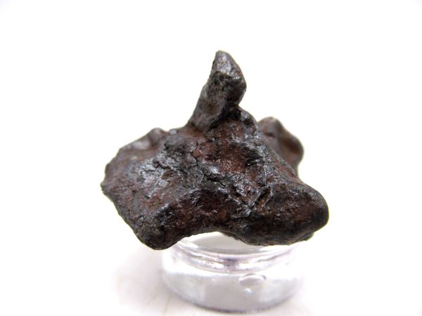 Genuine Sikhote-Alin Iron Meteorite For Sale From Russia #12