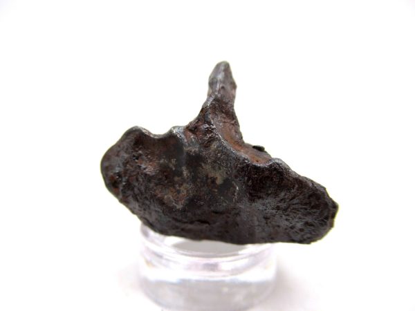 Genuine Sikhote-Alin Iron Meteorite For Sale From Russia #12b