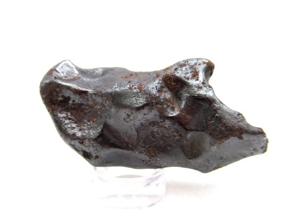 Genuine Sikhote-Alin Iron Meteorite For Sale From Russia #14d