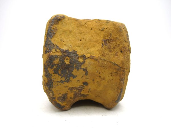 Hadrosaurus Dinosaur Bone on Stand for Sale #4 - Image 7