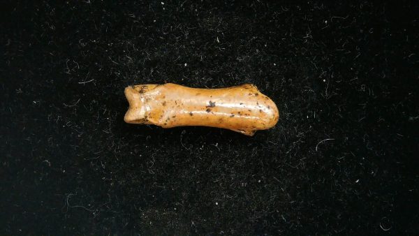 McKittrick Tar Pits Asphalt Lake Ice Age Bone #3 - Image 3