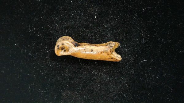 McKittrick Tar Pits Asphalt Lake Ice Age Bone #3 - Image 5