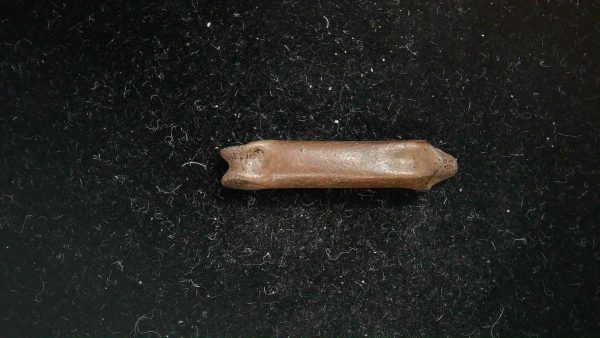 McKittrick Tar Pits Asphalt Lake Ice Age Bone #4 - Image 3