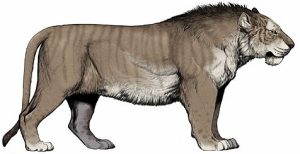 Panthera spelaea