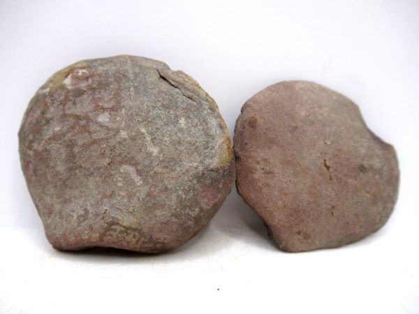 Mazon Creek Pennsylvanian Age Plant Nodule #171 - Image 2