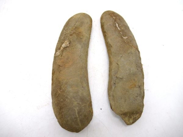 Mazon Creek Pennsylvanian Age Plant Nodule #172 - Image 2
