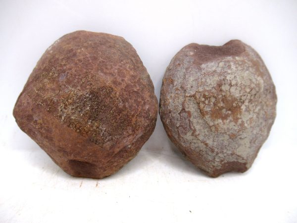 Mazon Creek Pennsylvanian Age Plant Nodule #173 - Image 2