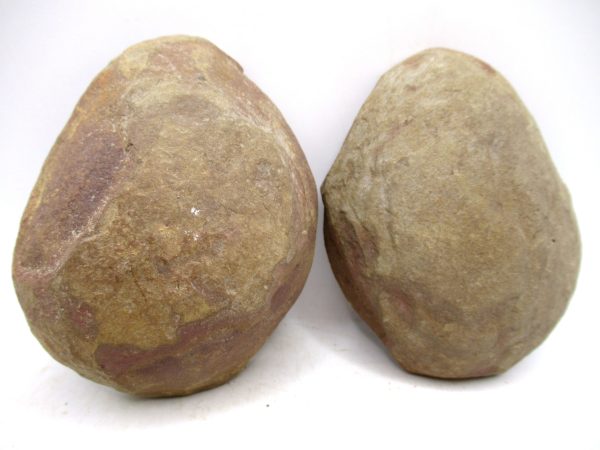 Mazon Creek Pennsylvanian Age Plant Nodule #179 - Image 2