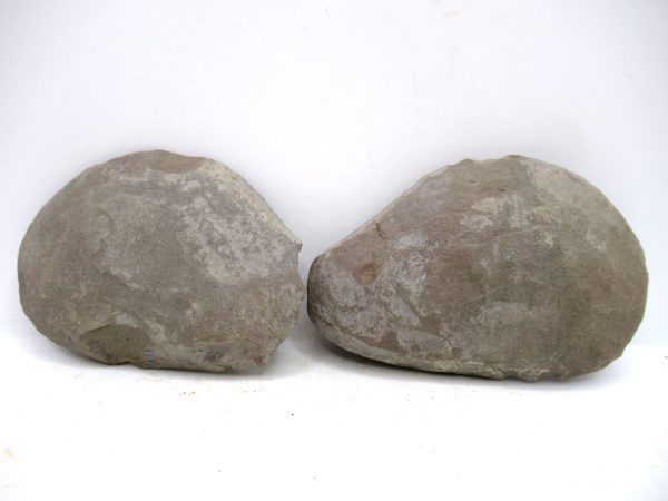 Mazon Creek Pennsylvanian Age Plant Nodule #180 - Image 2