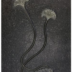 Holzmaden Crinoid Plate Seirocrinus subangularis #4