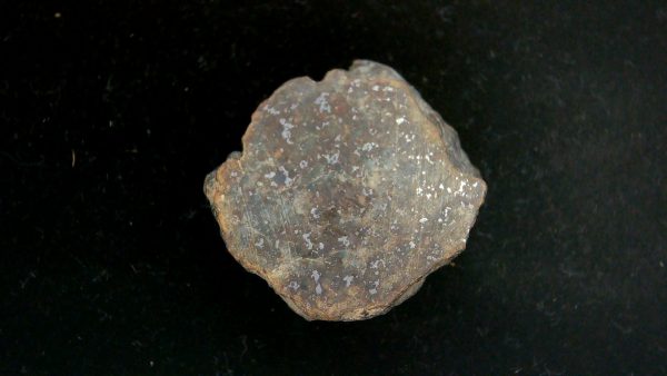 Gold Basin Stoney Chondrite Arizona Meteorite #10