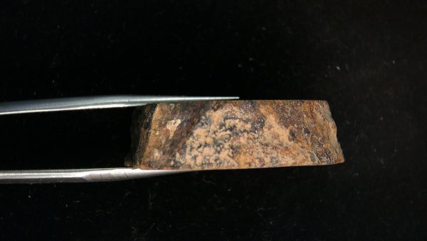 Gold Basin Stoney Chondrite Arizona Meteorite #2 - Image 3