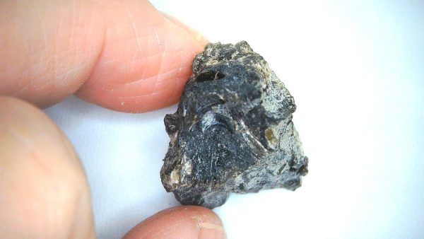 Darwin Glass Tasmanian Tektite from Australia 8.6 grams #16 - Image 3