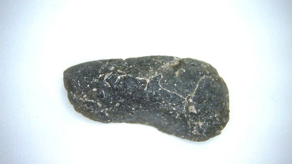 Darwin Glass Tasmanian Tektite from Australia 7.1 grams #17 - Image 2
