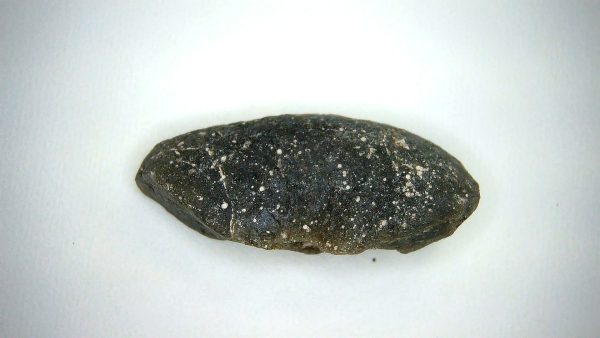Darwin Glass Tasmanian Tektite from Australia 7.1 grams #17 - Image 3