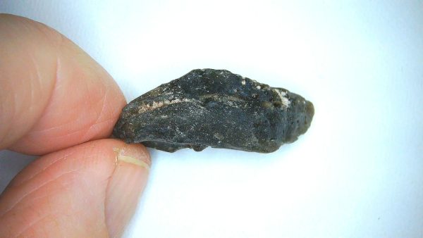 Darwin Glass Tasmanian Tektite from Australia 4.6 grams #21 - Image 3