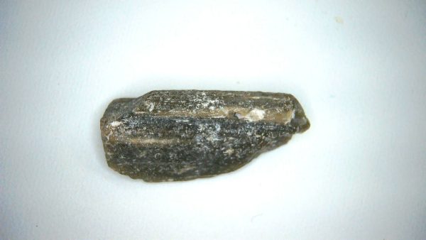 Darwin Glass Tasmanian Tektite from Australia 3.4 grams #22 - Image 3