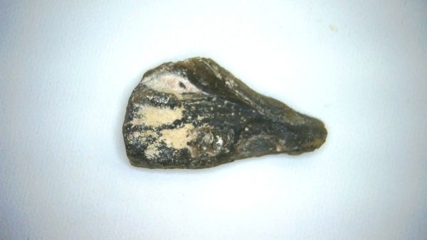 Darwin Glass Tasmanian Tektite from Australia 2.5 grams #24 - Image 2