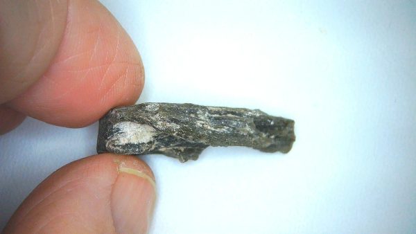 Darwin Glass Tasmanian Tektite from Australia 2.5 grams #24 - Image 3
