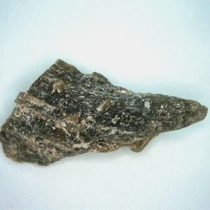 Darwin Glass Tasmanian Tektite from Australia 4.7 grams #9