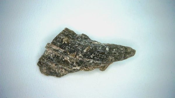 Darwin Glass Tasmanian Tektite from Australia 4.7 grams #9