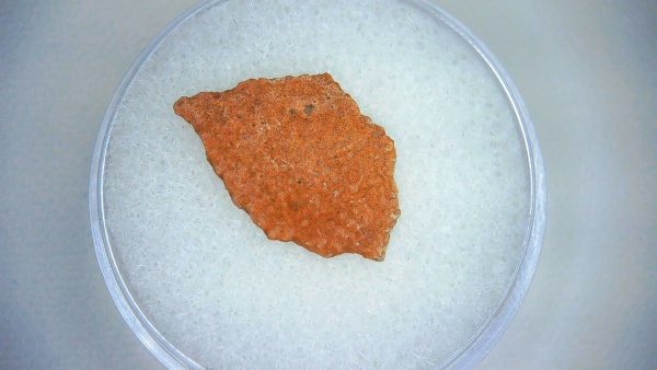 Dinosaur Egg Collection - Set of 3 Different Dinosaurs  #7 - Image 2