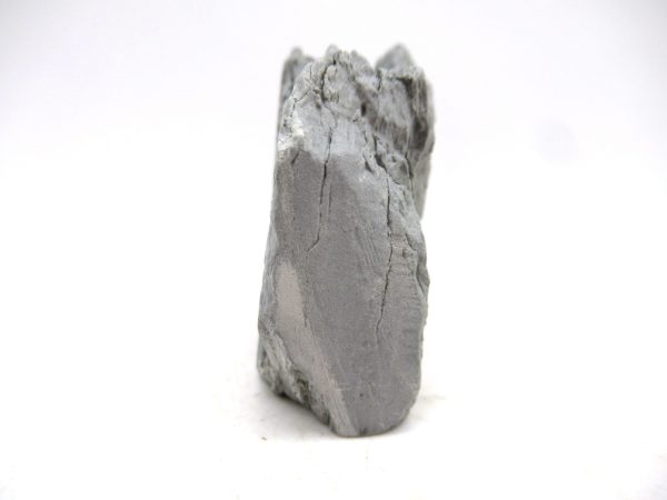 Cyclonemia bilix Ordovician Gastropod for Sale from Ohio #13 - Image 3