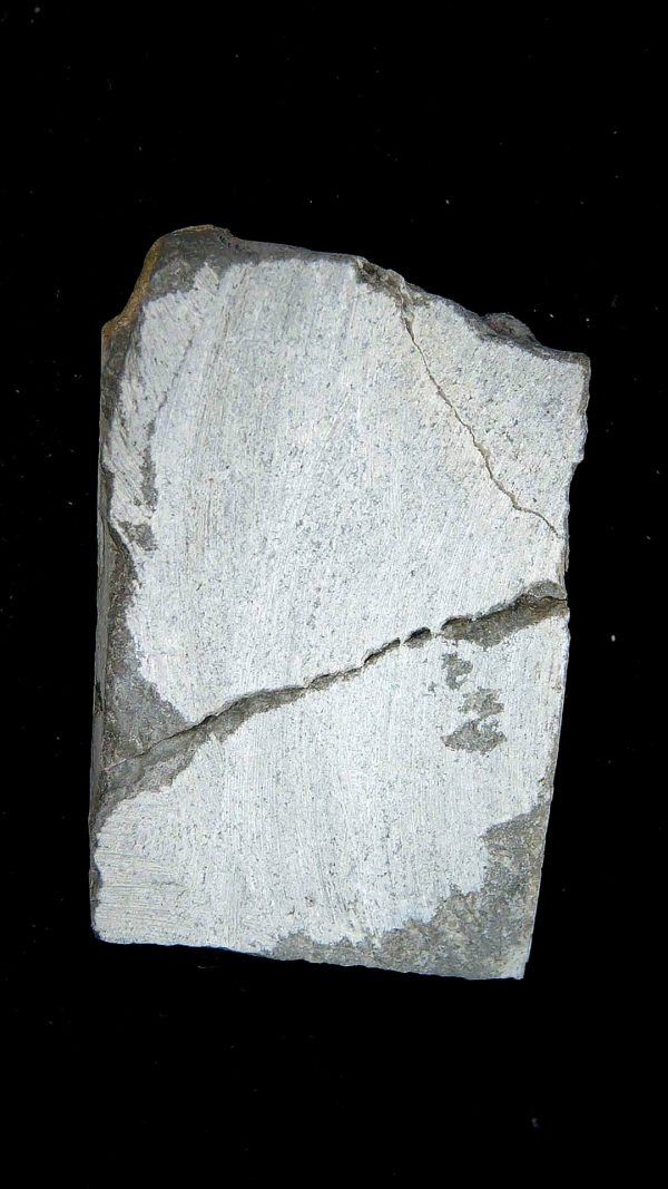 Gilmore City Iowa Crinoid Mississippian Age #201 - Image 3
