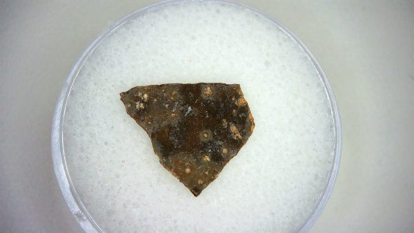 Dinosaur Egg Collection - Set of 3 Different Dinosaurs  #11 - Image 3