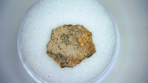 Dinosaur Egg Collection - Set of 3 Different Dinosaurs  #12 - Image 3