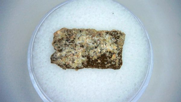 Dinosaur Egg Collection - Set of 3 Different Dinosaurs  #13 - Image 3
