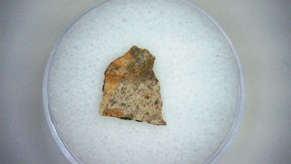 Dinosaur Egg Collection - Set of 3 Different Dinosaurs  #15 - Image 3