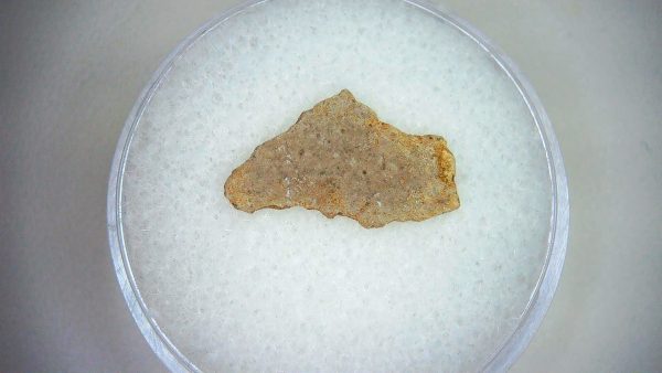 Dinosaur Egg Collection - Set of 3 Different Dinosaurs  #16 - Image 3