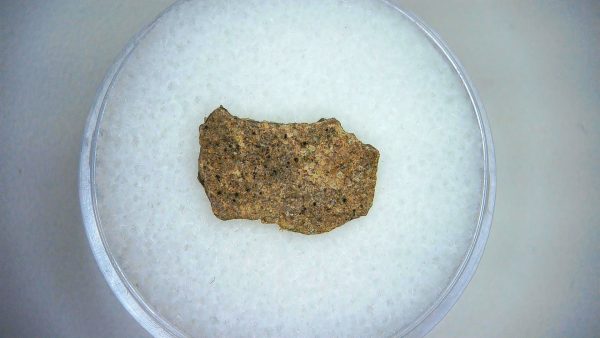 Dinosaur Egg Collection - Set of 3 Different Dinosaurs  #17 - Image 3