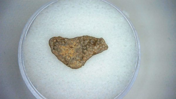 Dinosaur Egg Collection - Set of 3 Different Dinosaurs  #18 - Image 3