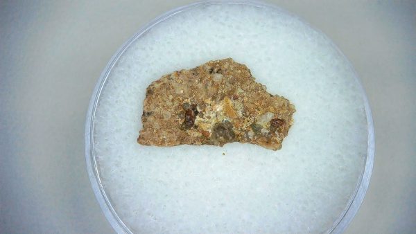 Dinosaur Egg Collection - Set of 3 Different Dinosaurs  #7 - Image 3