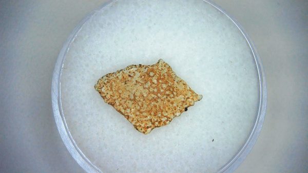 Dinosaur Egg Collection - Set of 3 Different Dinosaurs  #8 - Image 3
