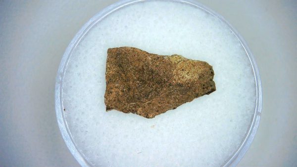 Dinosaur Egg Collection - Set of 3 Different Dinosaurs  #9 - Image 3