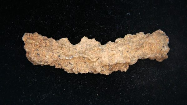 Fulgurite "Fossil Lightening" from Sahara Desert N. Africa #2 - 2.25" - Image 2