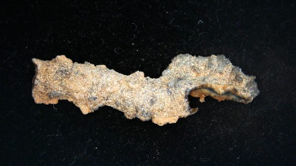 Fulgurite "Fossil Lightening" from Sahara Desert N. Africa #3 - 2.22" - Image 4