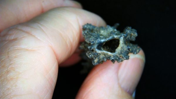 Fulgurite "Fossil Lightening" from Sahara Desert N. Africa #6 - 2.40" - Image 3
