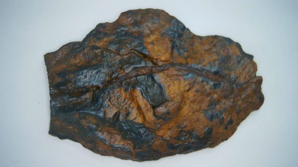 Nantan Iron Meteorite Fragment from China 55.1 grams #3 - Image 2