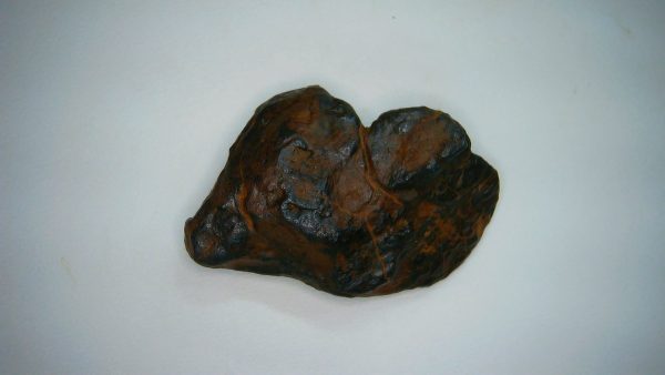 Nantan Iron Meteorite Fragment from China 24.3 grams #7 - Image 2